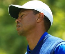 Tiger Frustrated